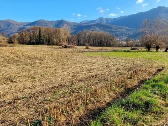 Terreno in vendita a Comunità Montana Valli del Verbano, Cuveglio
