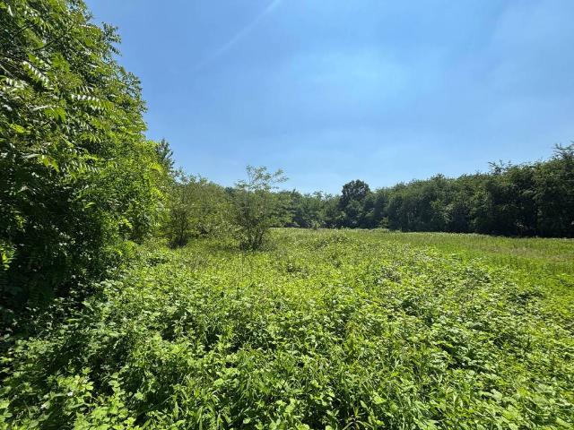 Terreno in vendita a Busto Arsizio, Lombardia