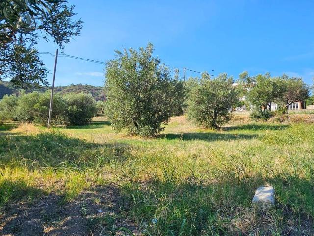 Terreno in vendita a Calabria, Catanzaro