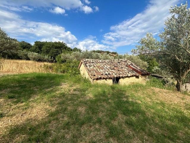 Terreno in vendita a Calabria, Catanzaro