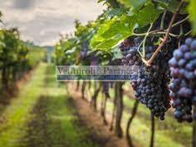 Terreno in vendita a Bornade di Sopra, Desenzano Del Garda