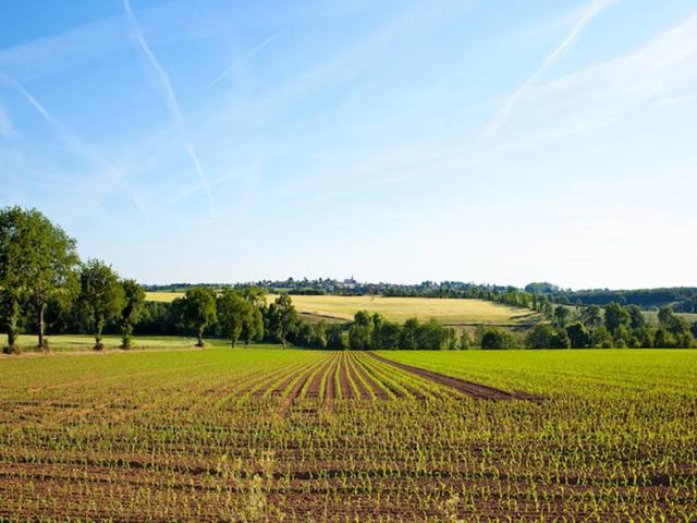 Terreno in vendita a Desenzano Del Garda, Lombardia