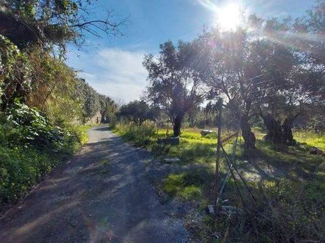 Terreno in vendita a Calabria, Cosenza