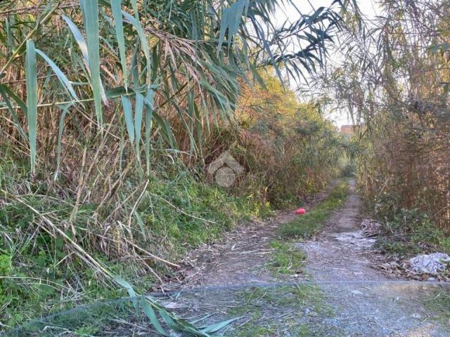 Terreno in vendita a Calabria, Cosenza