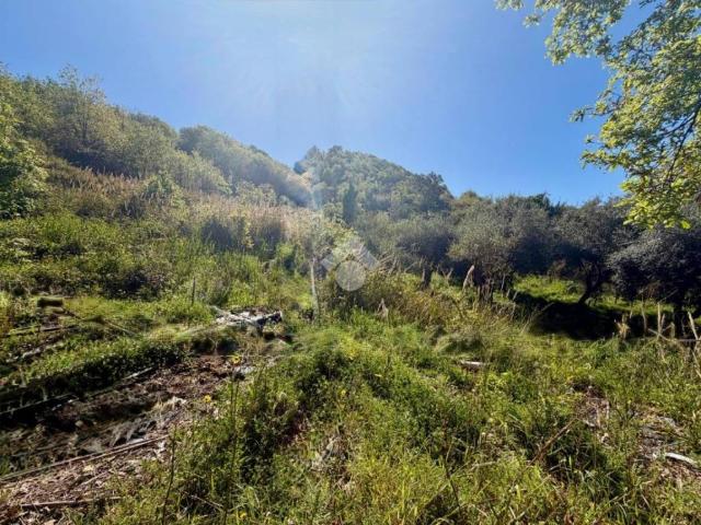 Terreno in vendita a Calabria, Cosenza