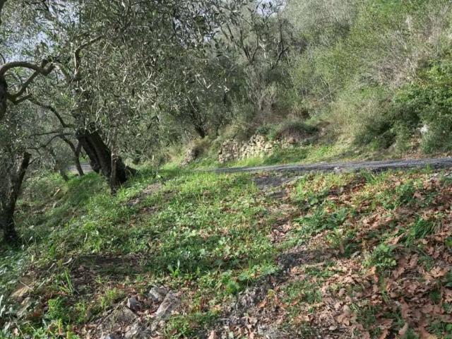 Terreno in vendita a Diano Castello, Liguria
