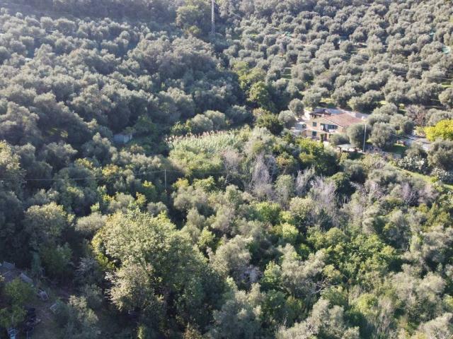 Terreno in vendita a Diano Marina, Liguria
