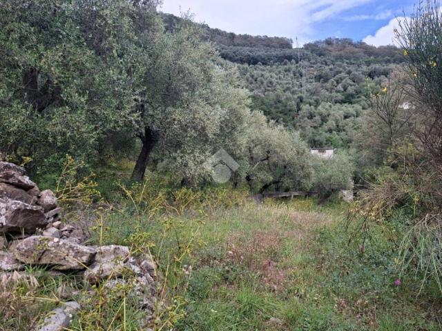 Terreno in vendita a Diano San Pietro, Liguria