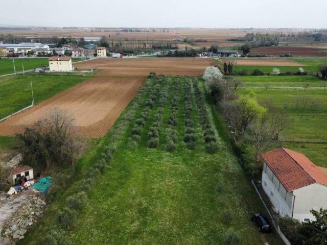 Terreno in vendita a Dignano, Friuli-Venezia Giulia