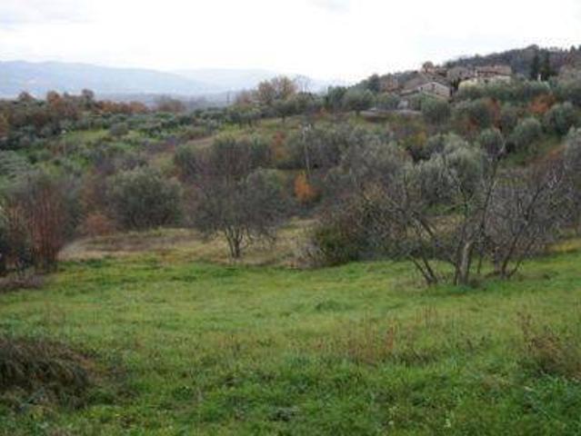 Terreno in vendita a Calabria, Cosenza