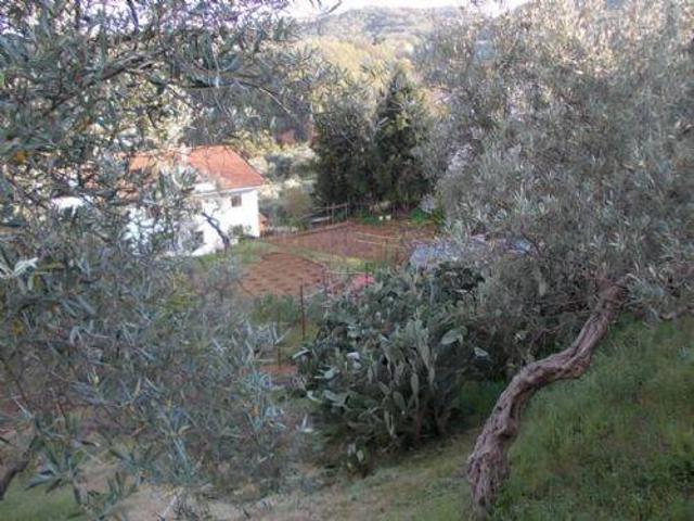 Terreno in vendita a Calabria, Cosenza