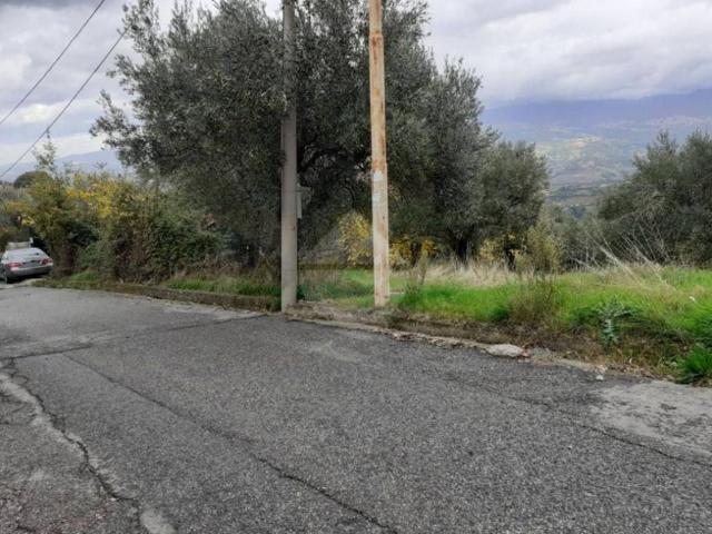 Terreno in vendita a Calabria, Cosenza
