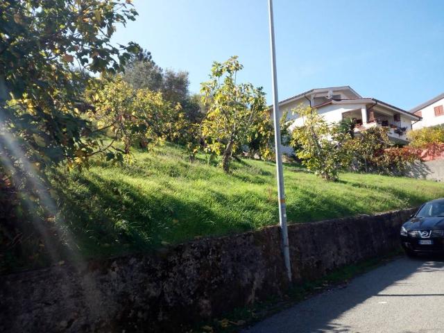 Terreno in vendita a Calabria, Cosenza