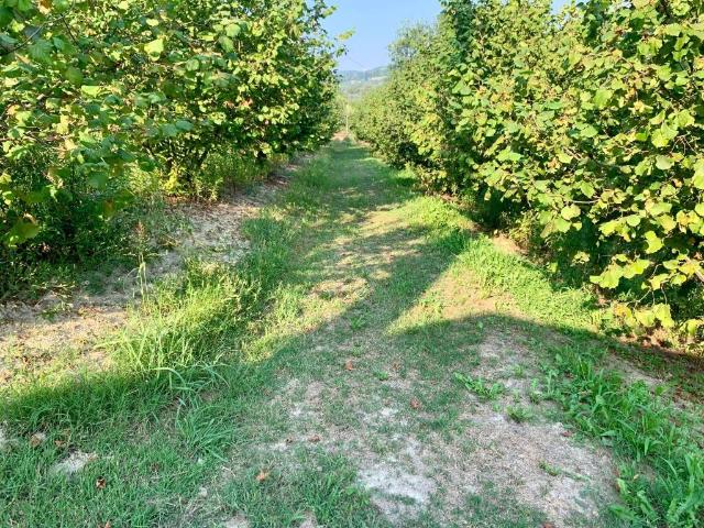 Terreno in vendita a Piemonte, Cuneo