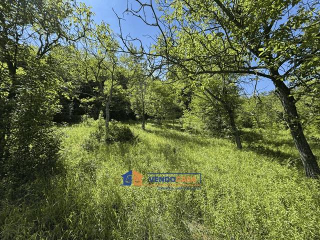 Terreno in vendita a Piemonte, Cuneo