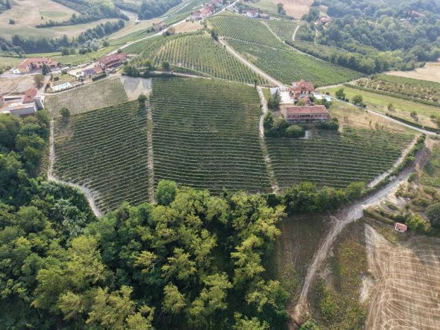 Terreno in vendita a Piemonte, Cuneo