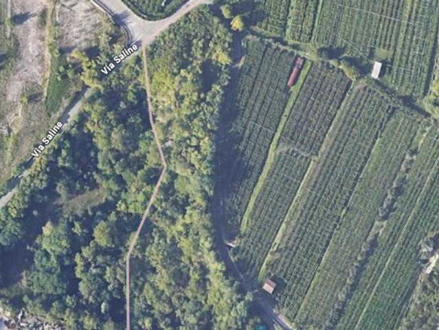 Terreno in vendita a Dolcè, Verona
