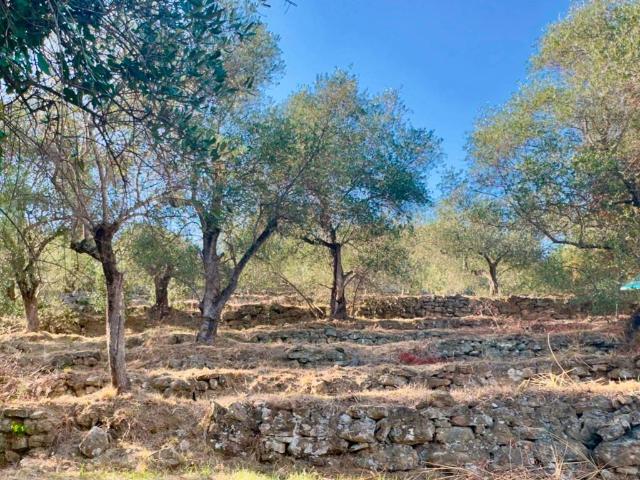 Terreno in vendita a Dolceacqua, Liguria