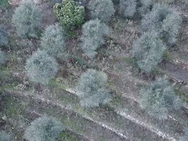 Terreno in vendita a Dolceacqua, Liguria