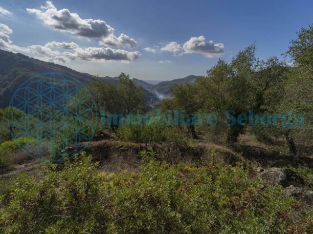 Terreno in vendita a Dolceacqua, Liguria