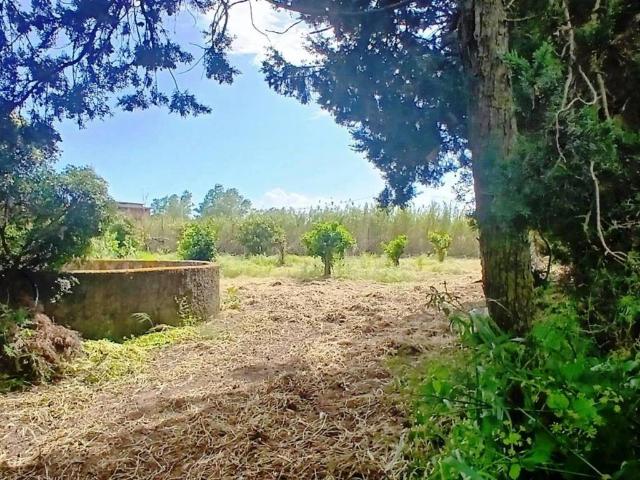 Terreno in vendita a Dolianova, Sardigna/Sardegna