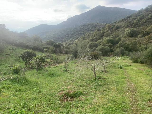 Terreno in vendita a Dolianova, Sardigna/Sardegna