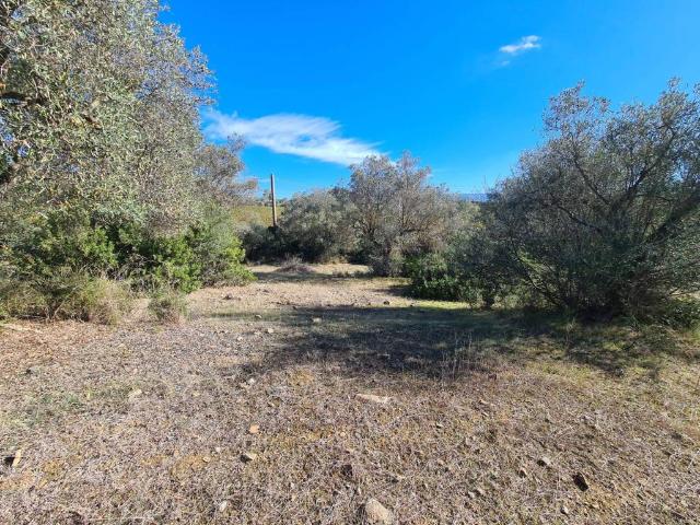 Terreno in vendita a Dolianova, Sardigna/Sardegna