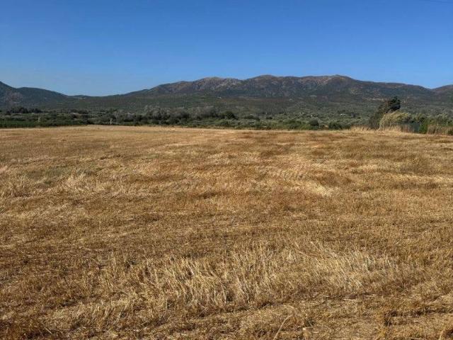 Terreno in vendita a Dolianova, Sardigna/Sardegna
