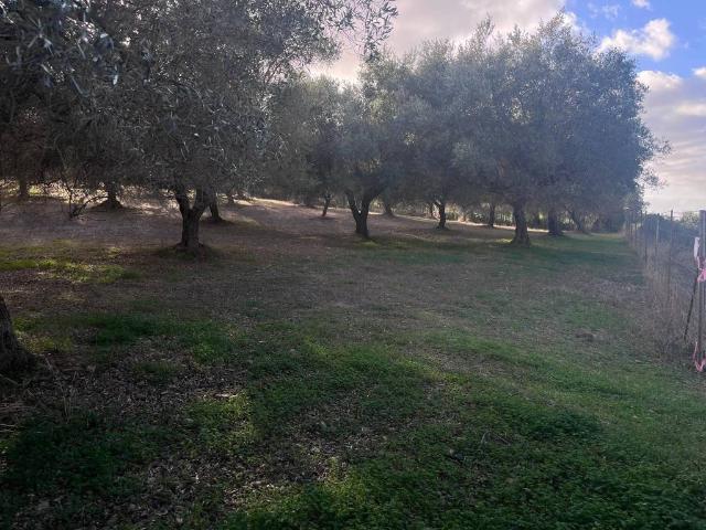 Terreno in vendita a Dolianova, Sardigna/Sardegna