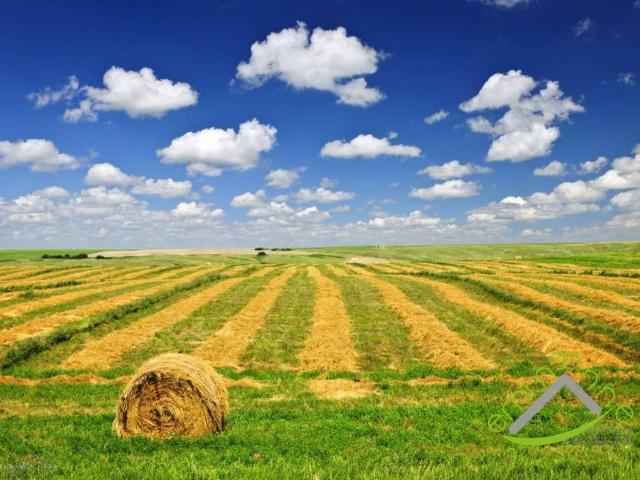 Terreno in vendita a Dolo, Veneto