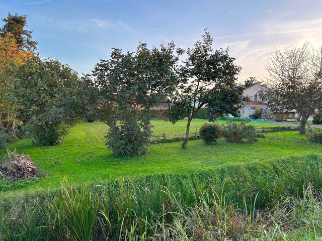Terreno in vendita a Dolo, Veneto