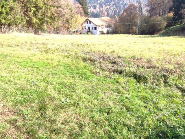 Terreno in vendita a Domegge Di Cadore, Veneto