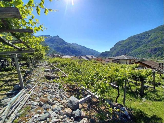 Terreno in vendita a Donnas, Aosta