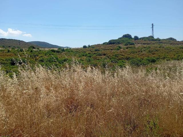 Terreno in vendita a Donori, Sardigna/Sardegna