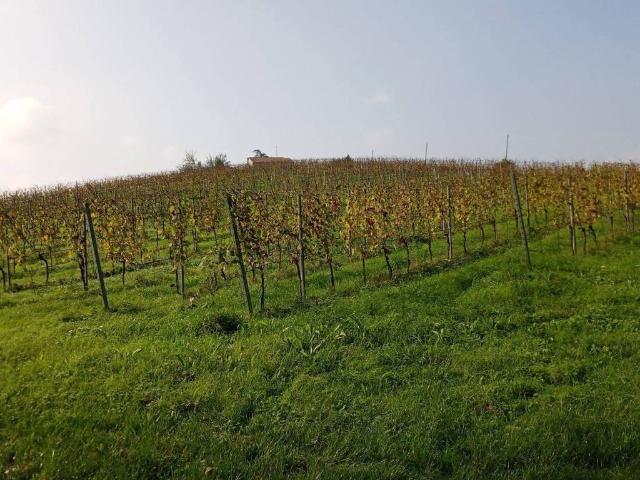 Terreno in vendita a Nuovo Circondario Imolese, Dozza Imolese