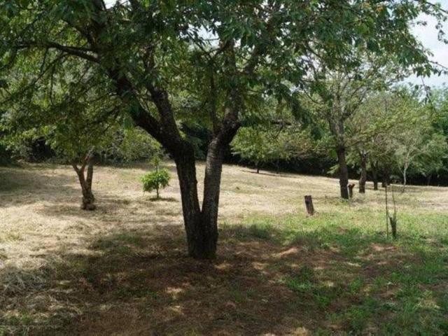 Terreno in vendita a Dragoni, Campania