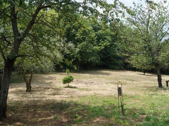 Terreno in vendita a Dragoni, Campania