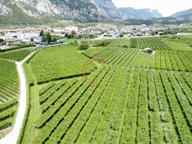 Terreno in vendita a Comunità Alto Garda e Ledro, Dro