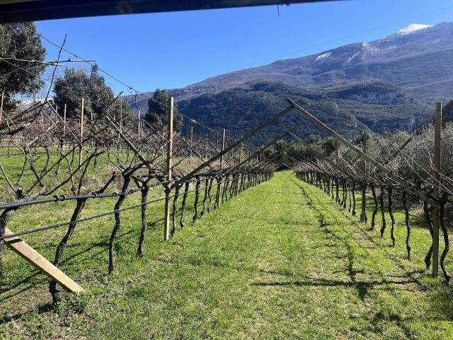 Terreno in vendita a Comunità Alto Garda e Ledro, Dro