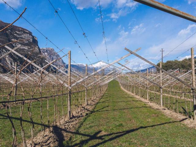 Terreno in vendita a Comunità Alto Garda e Ledro, Dro