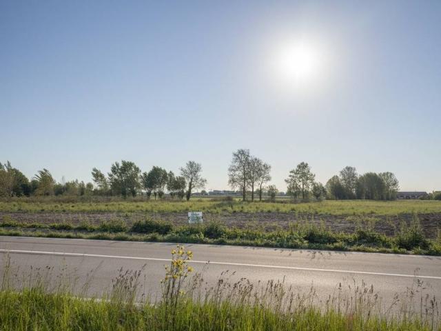 Terreno in vendita a Carrara San Giorgio, Veneto