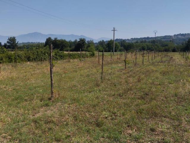 Terreno in vendita a Dugenta, Campania