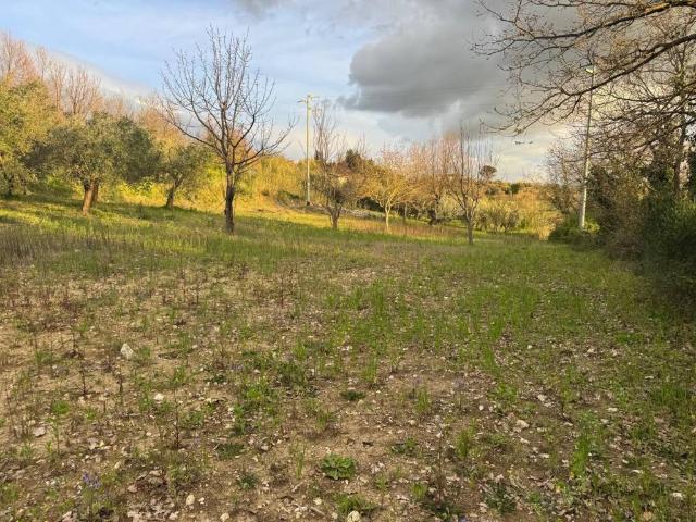 Terreno in vendita a Frasso Telesino, Campania