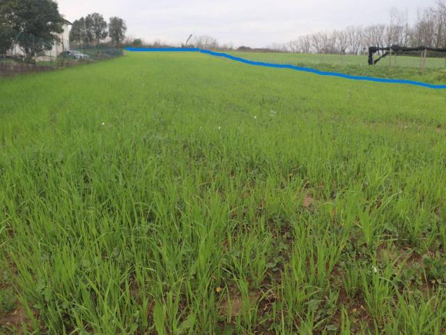 Terreno in vendita a Dugenta, Campania