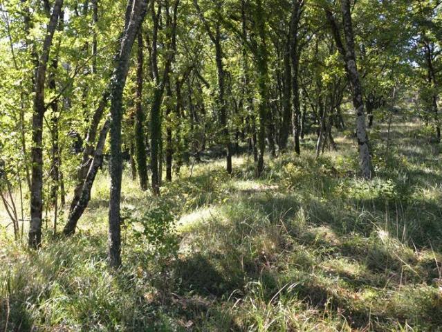 Terreno in vendita a Aurisina, Friuli-Venezia Giulia