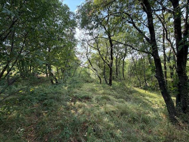 Terreno in vendita a San Pelagio / Šempolaj, Duino Aurisina / Devin - Nabrežina
