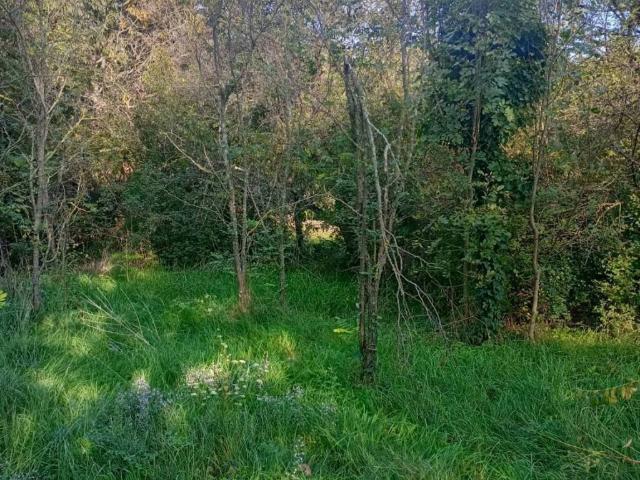 Terreno in vendita a Borgo San Mauro / Naselje Svetega Mavra, Aurisina