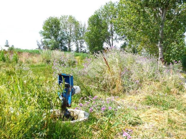 Terreno in vendita a Eboli, Campania