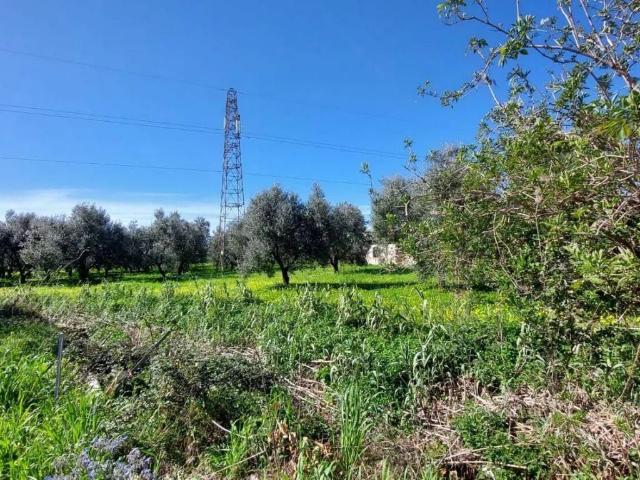 Terreno in vendita a Eboli, Campania