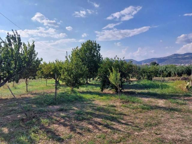 Terreno in vendita a Eboli, Campania